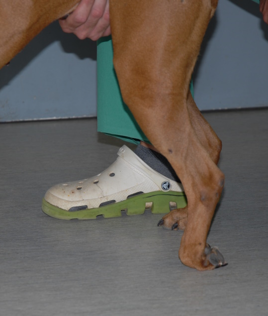 dokimi epanaforas boxer