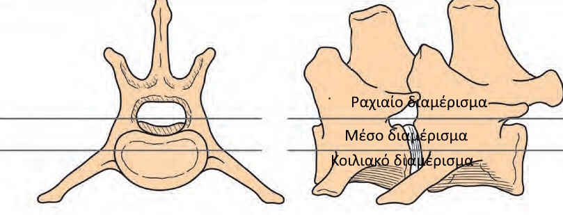 sxediagrama stilon spondylikis