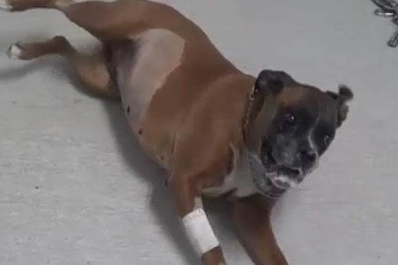 epiliptiki krisi se insoulinima