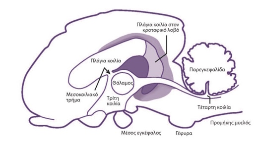 sximatografim sistima kilion