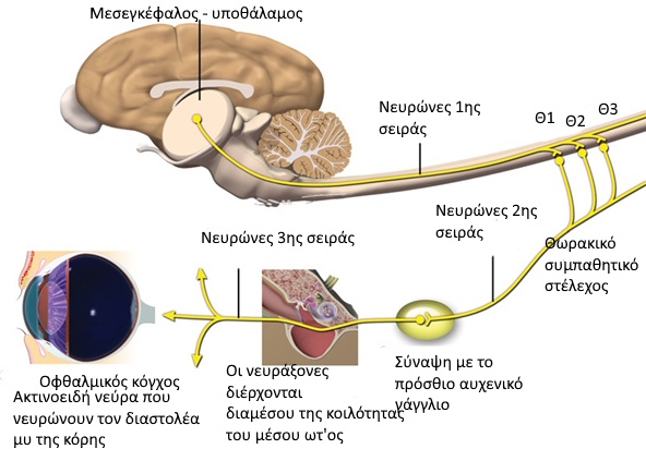 sxima toy sympauitikoy